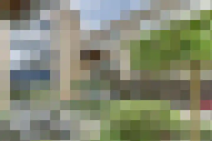 Telgterpoort 25 Ermelo thumbnail 28