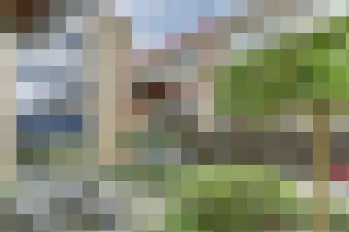 Telgterpoort 25 Ermelo thumbnail 5