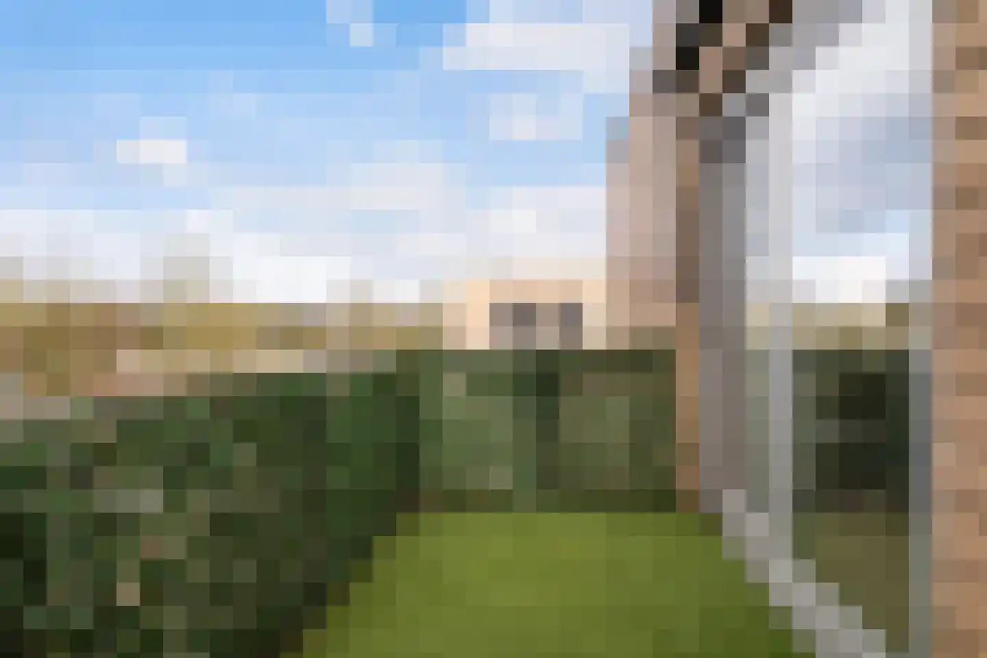 Telgterpoort 29 Ermelo thumbnail 18
