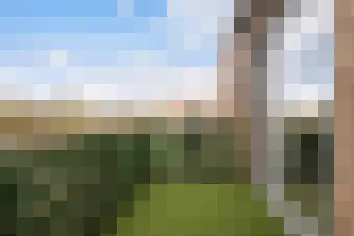 Telgterpoort 29 Ermelo thumbnail 18