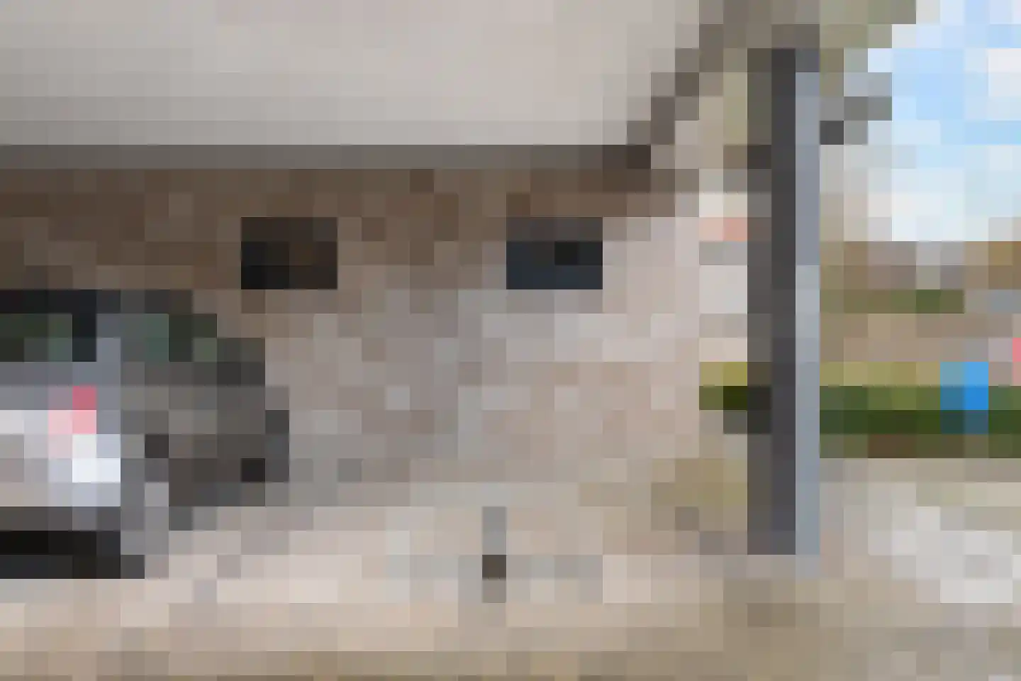 Telgterpoort 29 Ermelo thumbnail 31