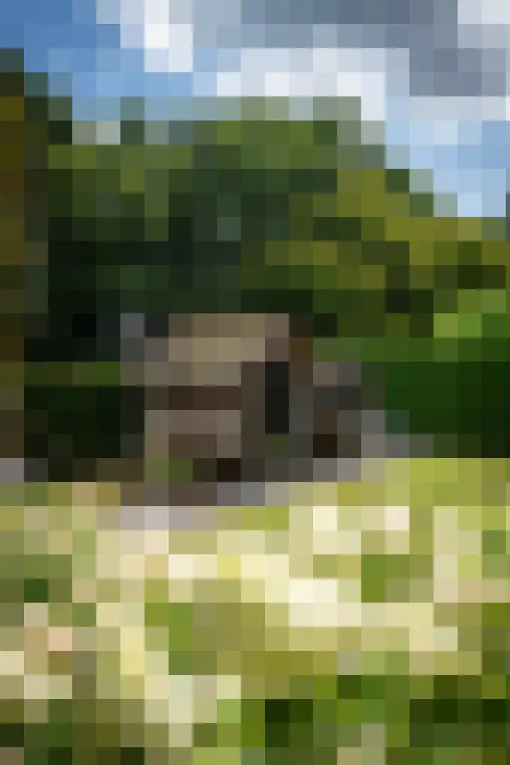 Telgterweg 26 Putten thumbnail 36