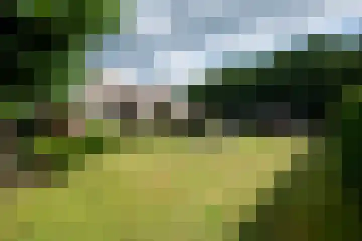 Telgterweg 26 Putten thumbnail 38