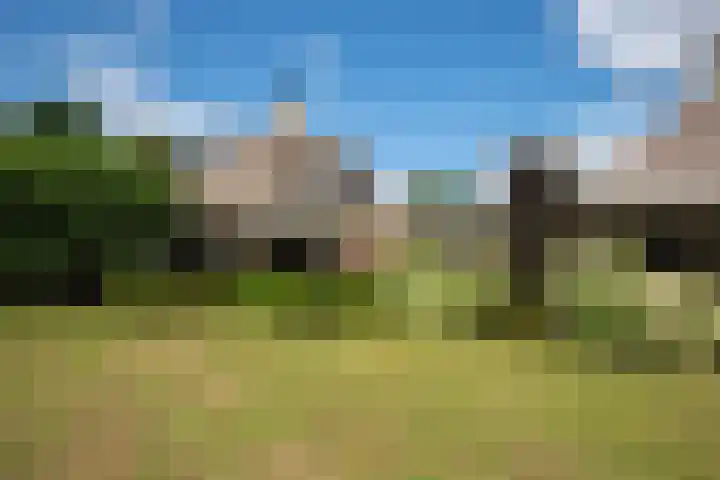 Telgterweg 26 Putten thumbnail 39
