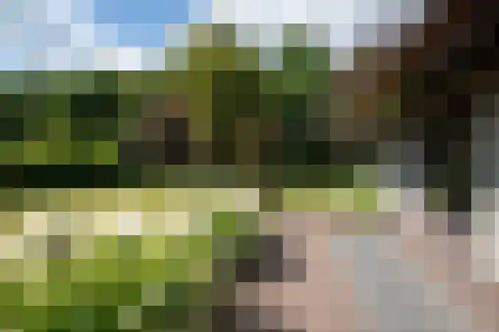 Telgterweg 26 Putten thumbnail 41