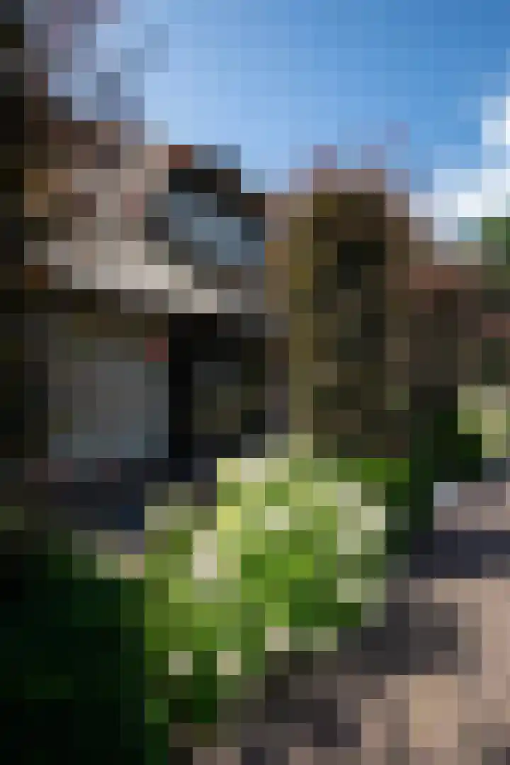 Telgterweg 26 Putten thumbnail 45