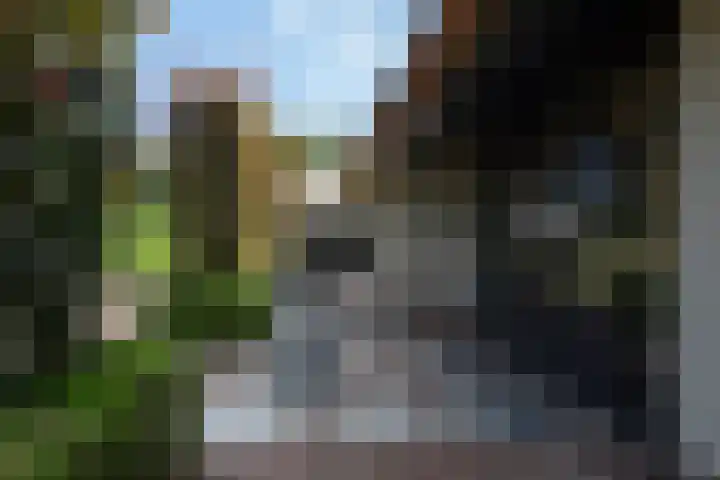 Telgterweg 26 Putten thumbnail 47
