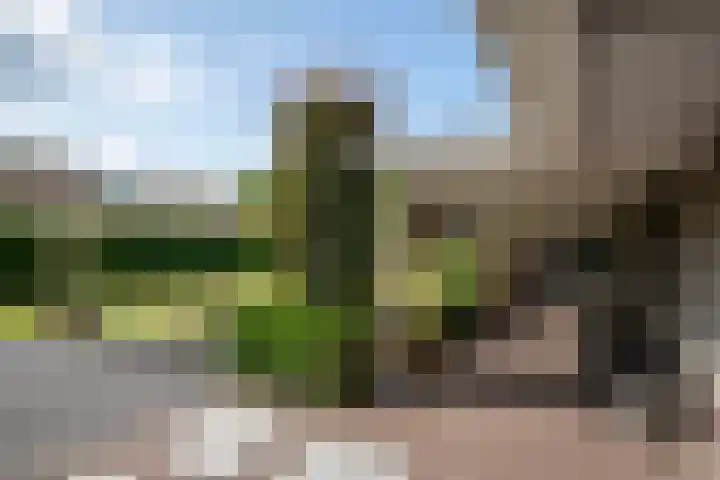 Telgterweg 26 Putten thumbnail 48