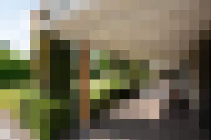 Telgterweg 26 Putten thumbnail 49