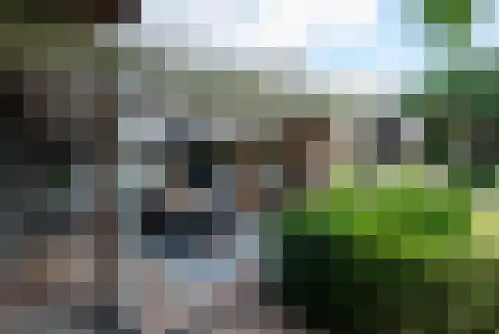 Telgterweg 26 Putten thumbnail 51