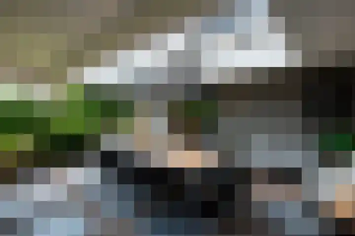 Telgterweg 26 Putten thumbnail 52