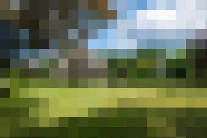 Telgterweg 26 Putten thumbnail 54
