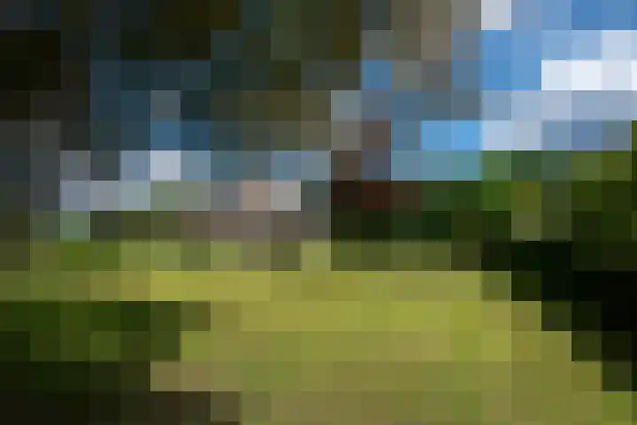 Telgterweg 26 Putten thumbnail 55