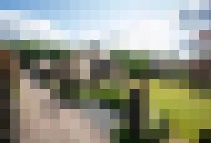 Telgterweg 26 Putten thumbnail 58