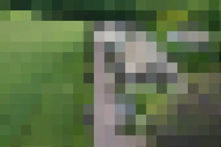Telgterweg 26 Putten thumbnail 59
