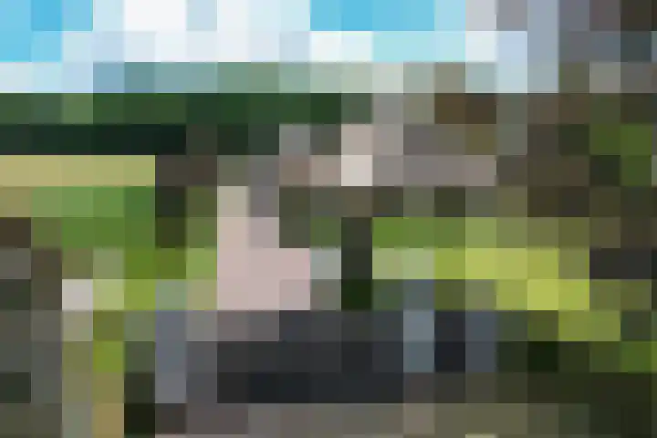 Telgterweg 26 Putten thumbnail 60