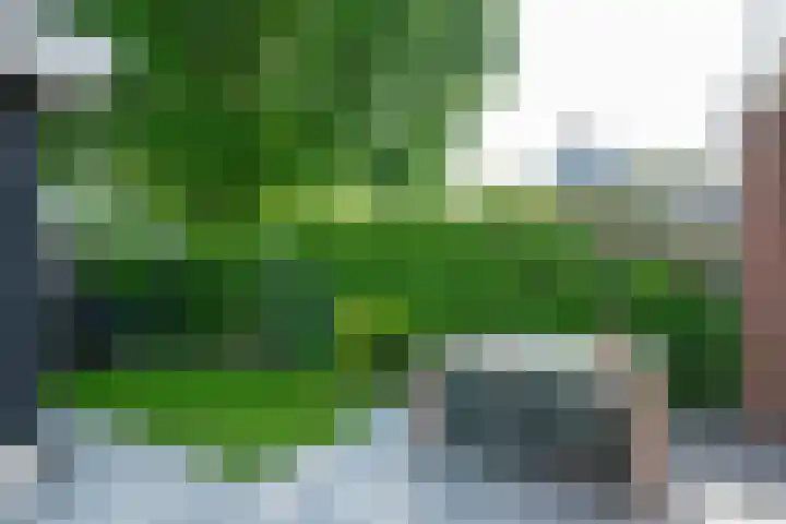 Tellashof 33 Mariënvelde thumbnail 33