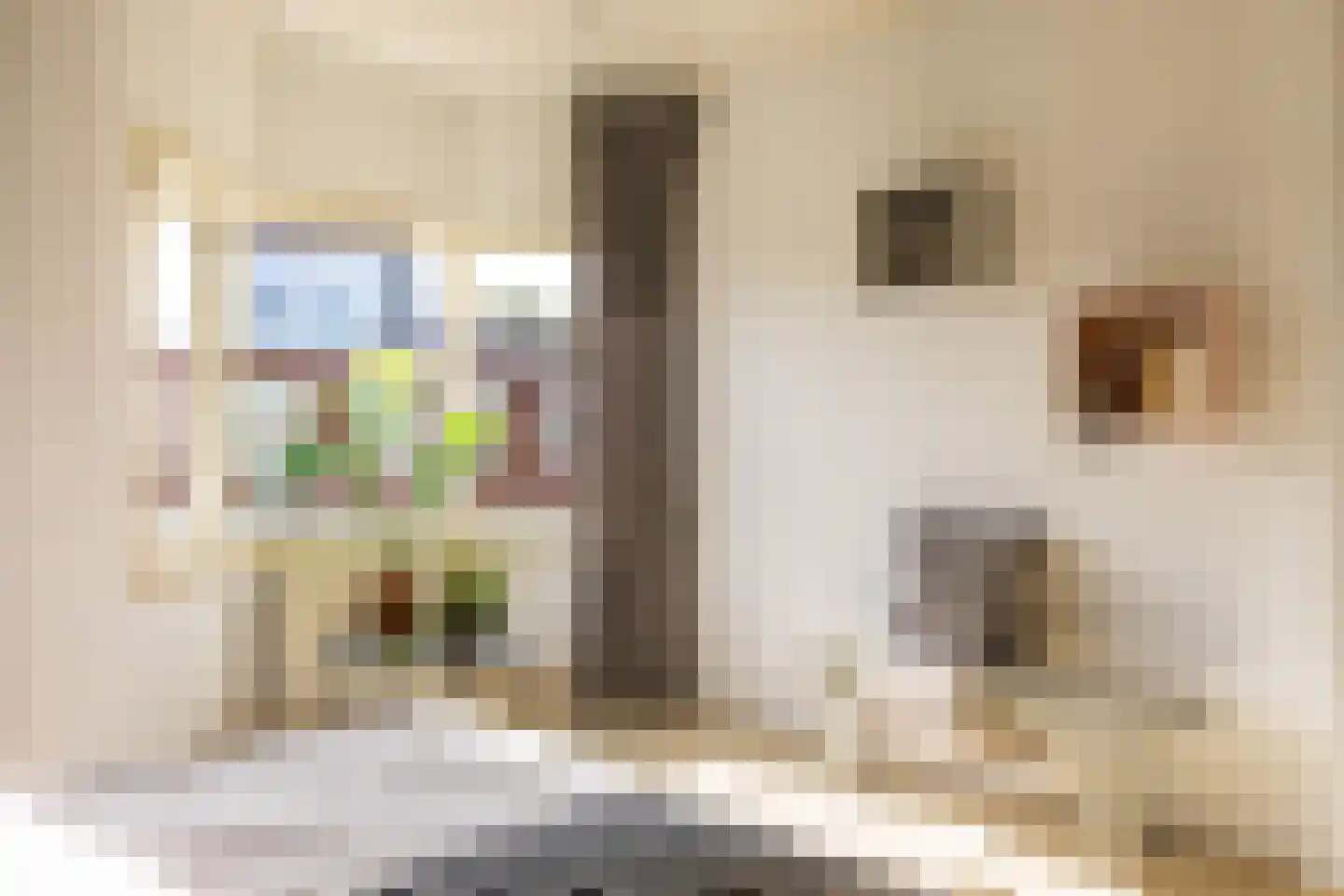 Tellegenstraat 16 b Groningen thumbnail 30
