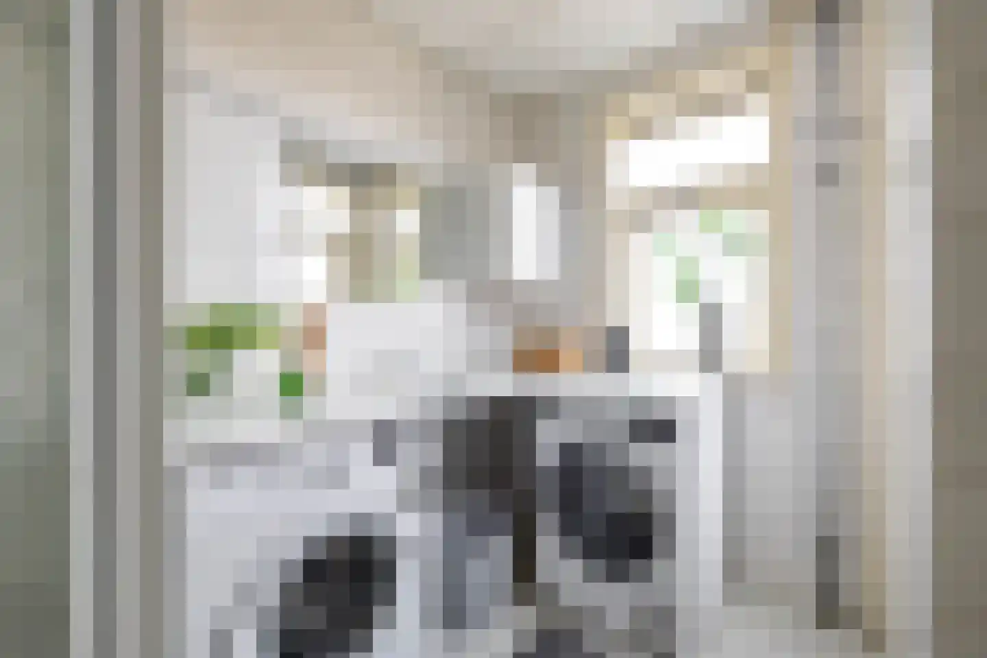 Tellegenstraat 16 b Groningen thumbnail 34