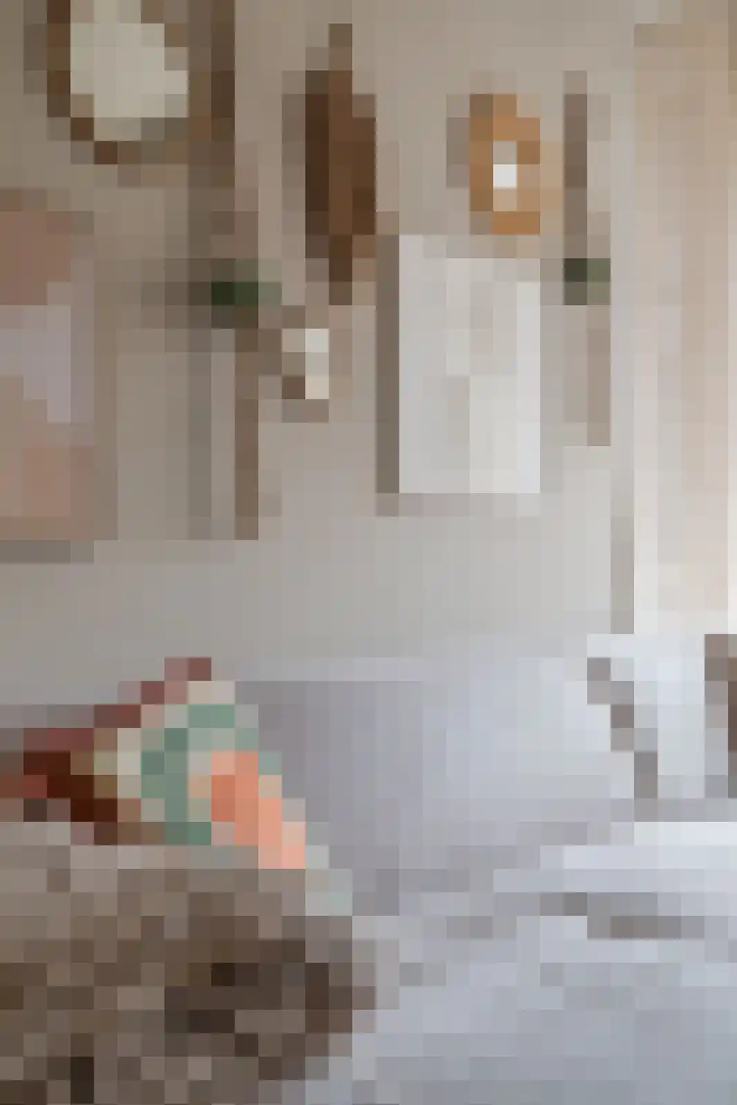 Tellegenstraat 5 Groningen thumbnail 13