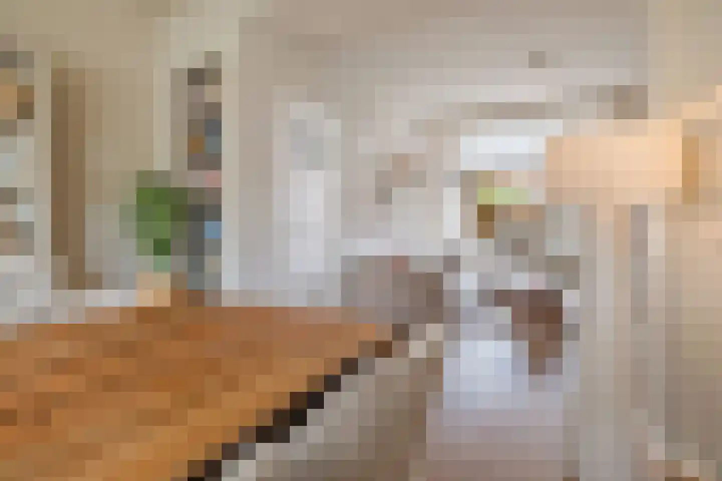 Tellegenstraat 5 Groningen thumbnail 15