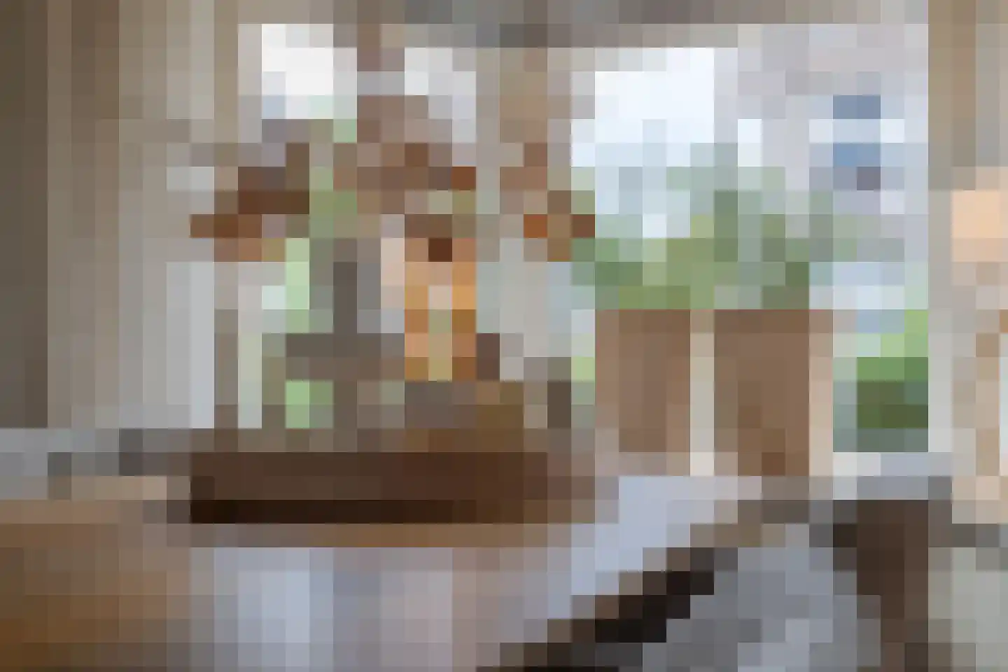 Tellegenstraat 5 Groningen thumbnail 16