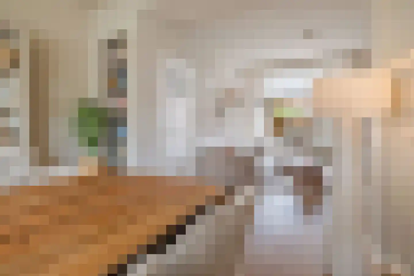 Tellegenstraat 5 Groningen thumbnail 18