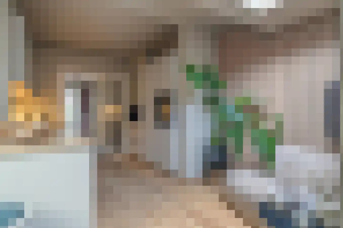 Tellegenstraat 5 Groningen thumbnail 18