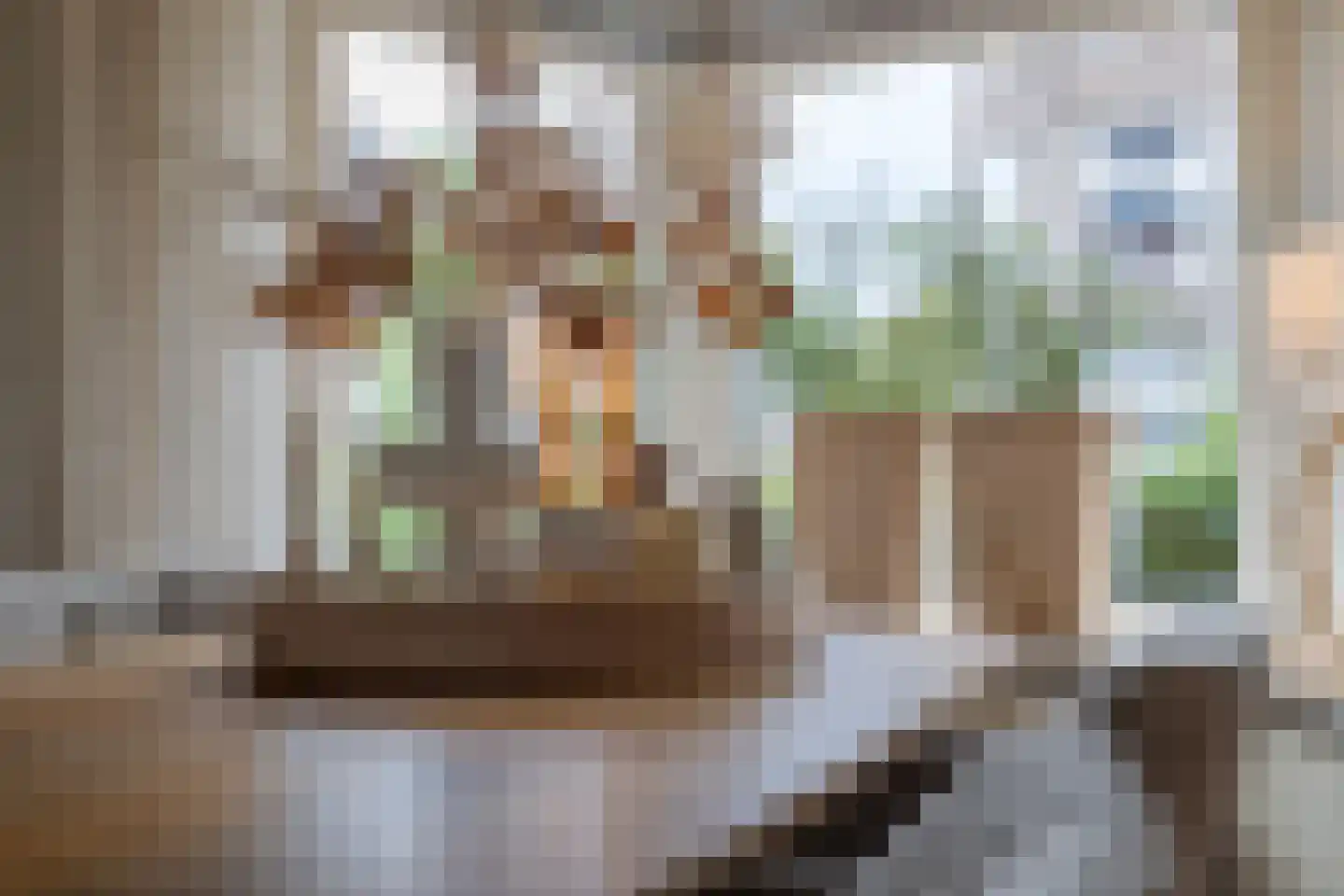 Tellegenstraat 5 Groningen thumbnail 19