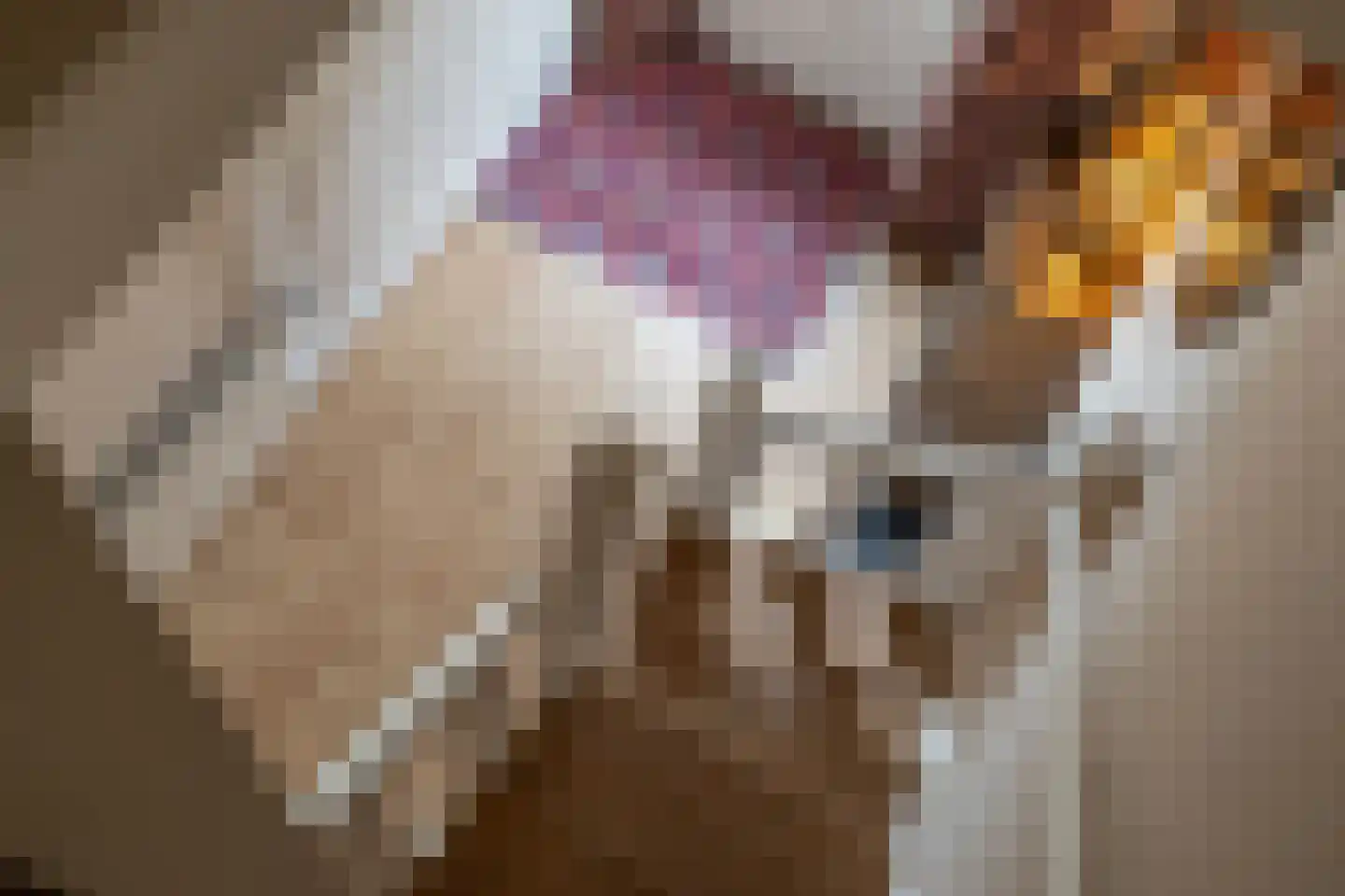 Tellegenstraat 5 Groningen thumbnail 32