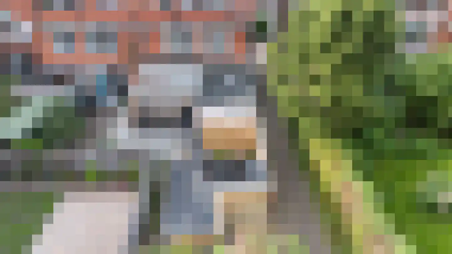 Tellegenstraat 5 Groningen thumbnail 46
