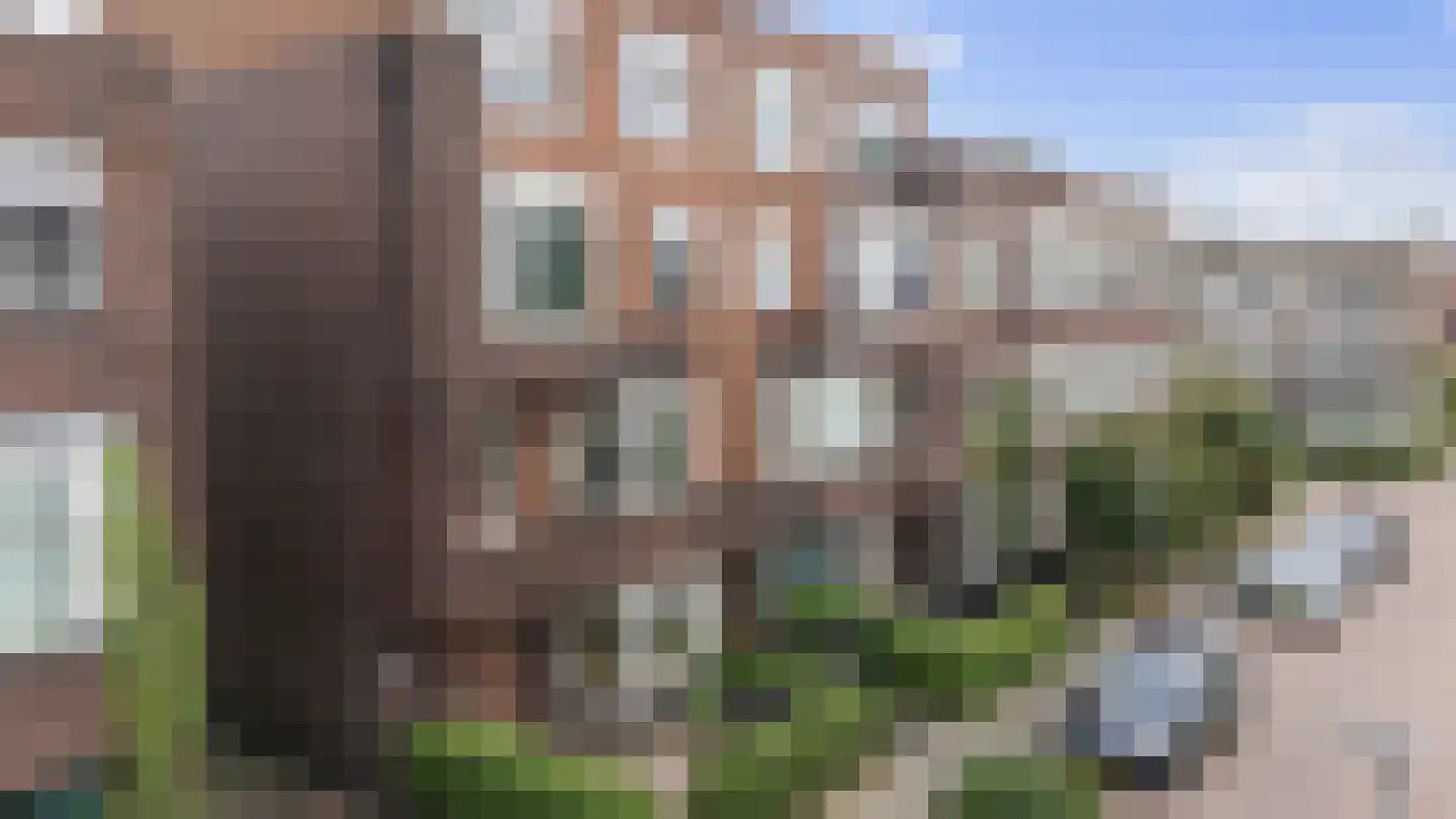 Tellegenstraat 5 Groningen thumbnail 5