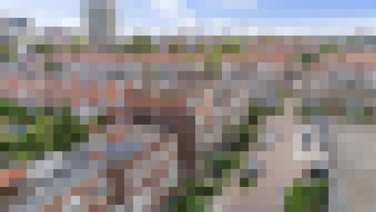 Tellegenstraat 5 Groningen thumbnail 63