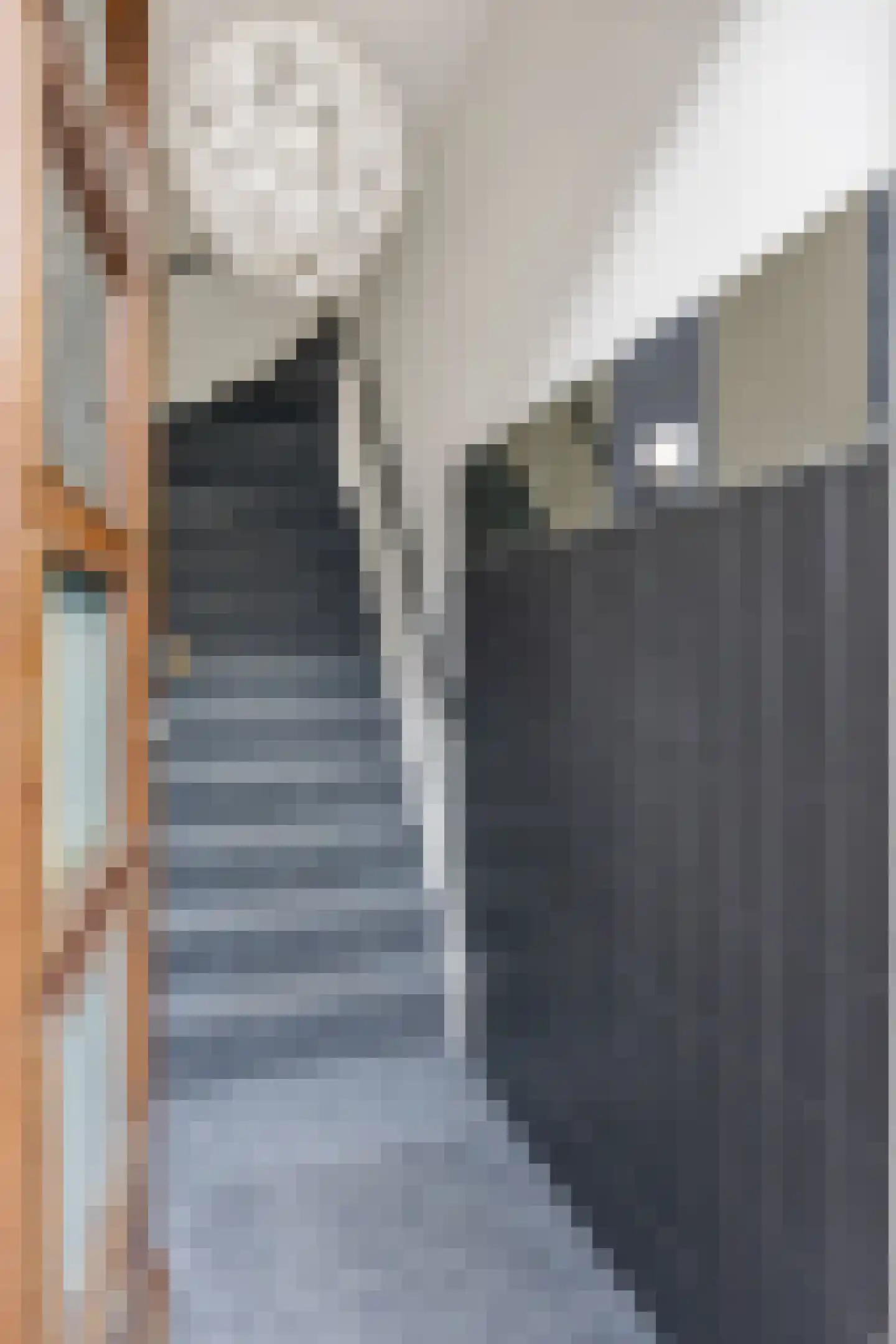 Tellegenstraat 65 a Groningen thumbnail 30