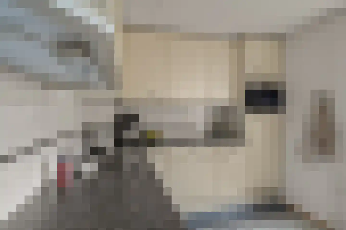 Tellerswerft 16 Nijkerk thumbnail 14