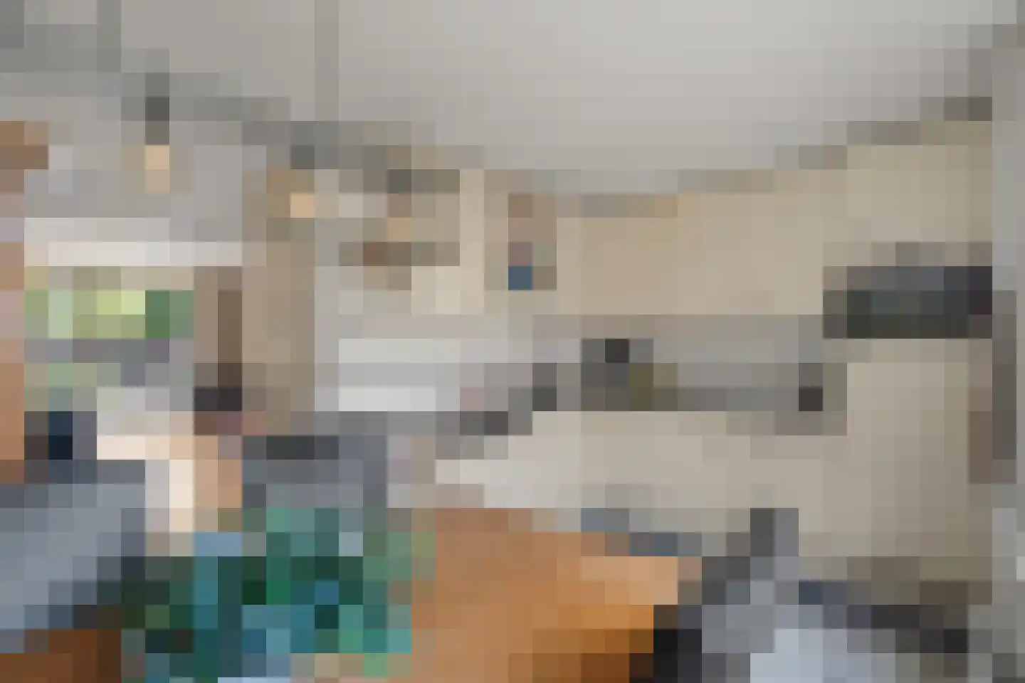 Tellerswerft 16 Nijkerk thumbnail 17