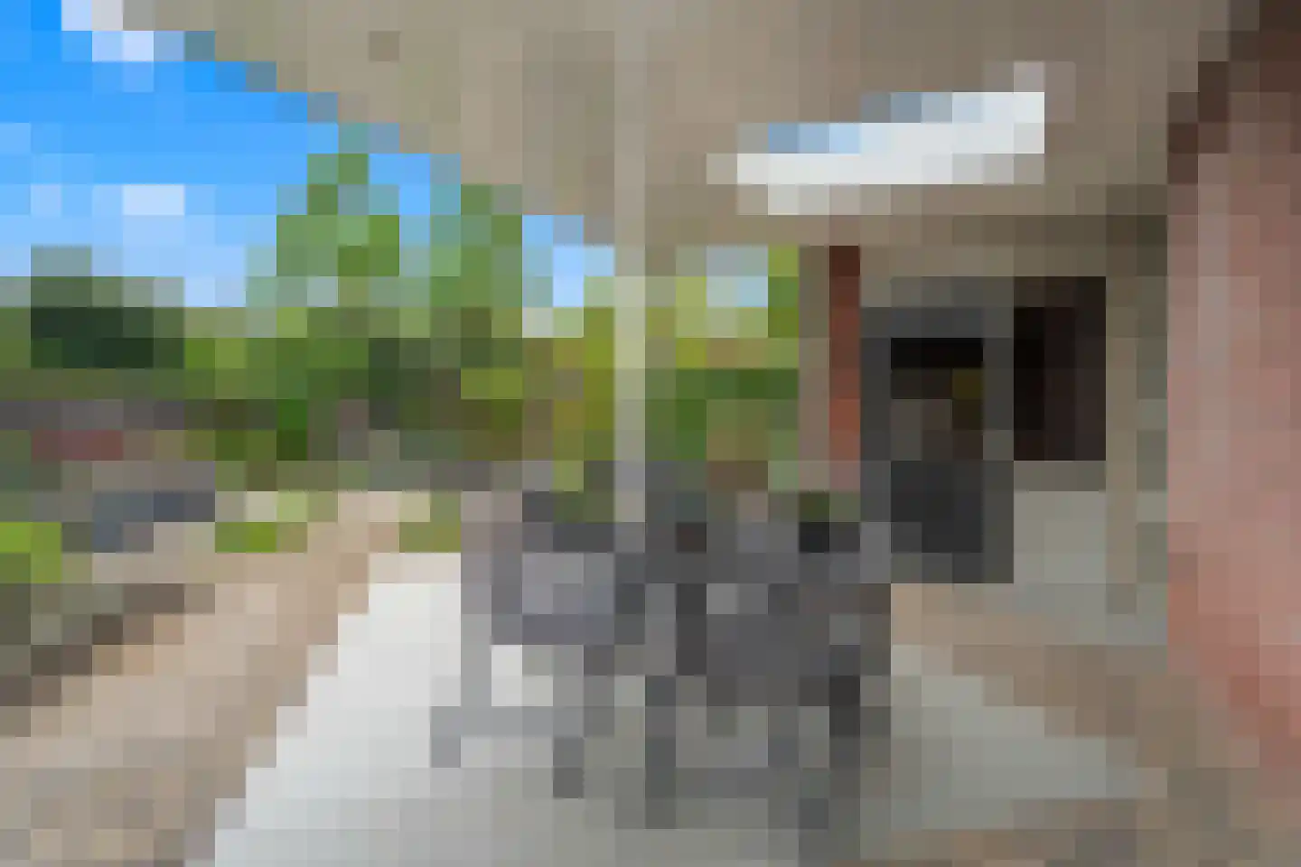 Tellerswerft 16 Nijkerk thumbnail 43