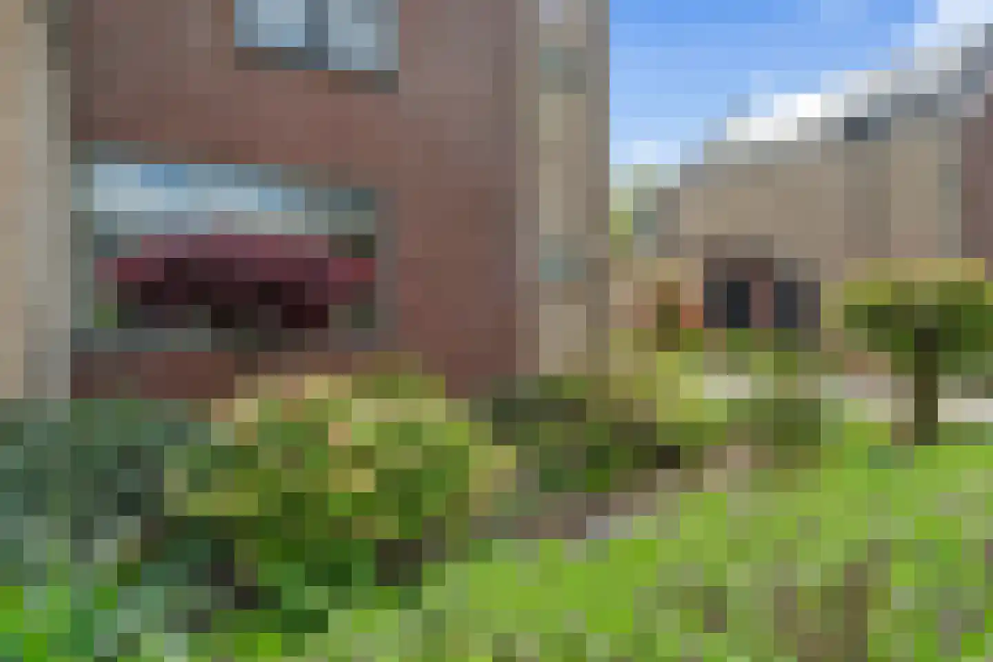 Tellerswerft 16 Nijkerk thumbnail 57