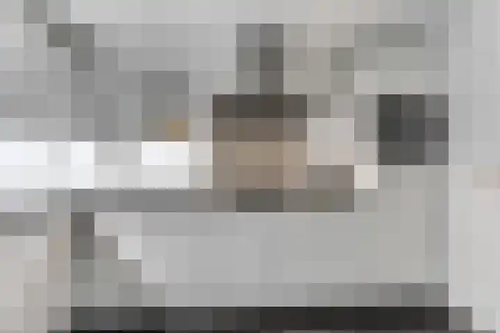 Tellerswerft 34 Nijkerk thumbnail 12