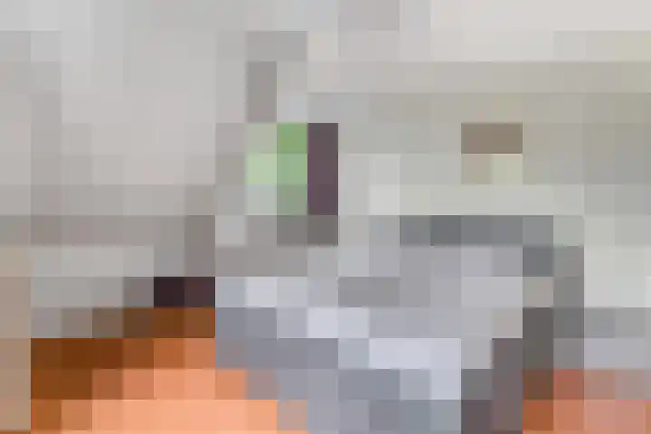 Tellerswerft 34 Nijkerk thumbnail 18