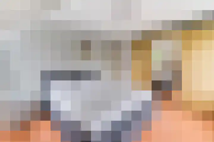 Tellerswerft 34 Nijkerk thumbnail 19