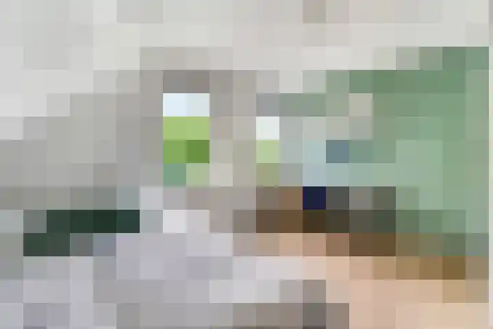 Tellerswerft 34 Nijkerk thumbnail 22