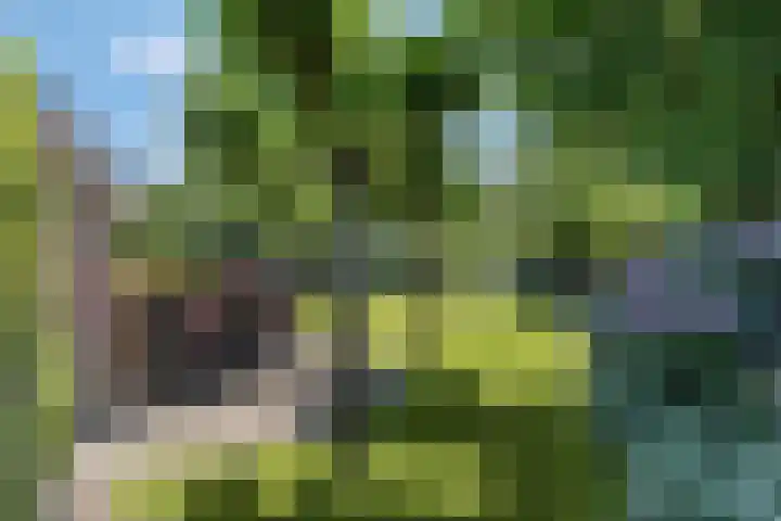 Tellerswerft 34 Nijkerk thumbnail 38