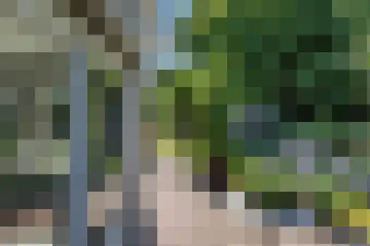 Tellerswerft 34 Nijkerk thumbnail 40