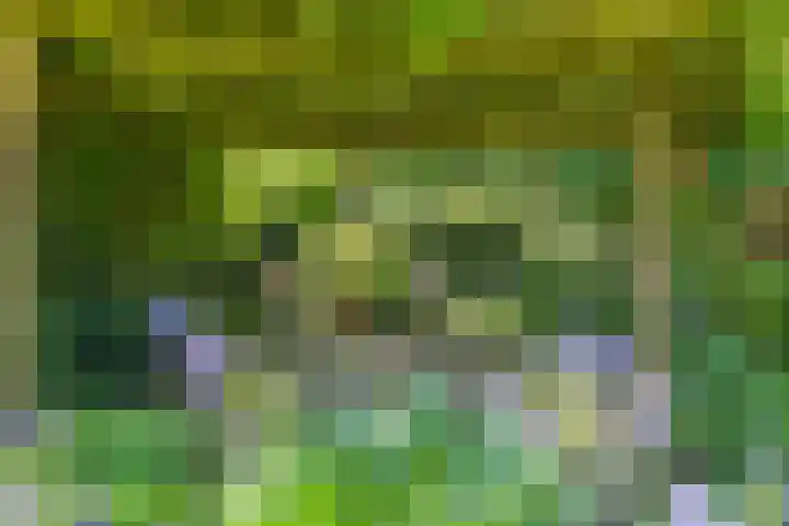 Tellerswerft 34 Nijkerk thumbnail 42