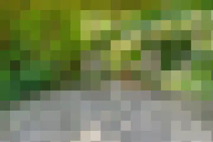 Tellerswerft 34 Nijkerk thumbnail 43