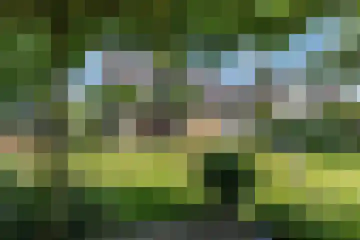 Tellerswerft 34 Nijkerk thumbnail 44