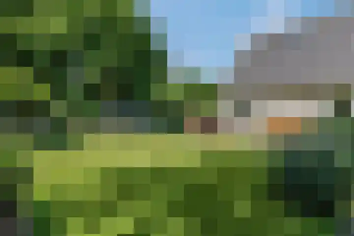 Tellerswerft 34 Nijkerk thumbnail 46