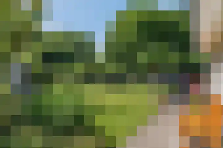 Tellerswerft 34 Nijkerk thumbnail 47