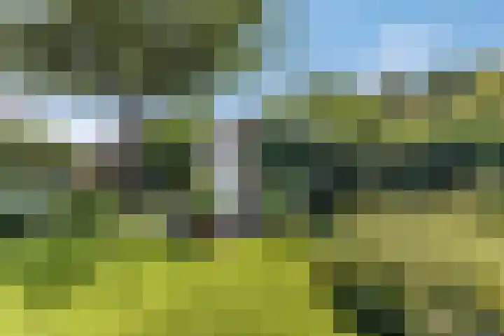 Tellerswerft 34 Nijkerk thumbnail 49